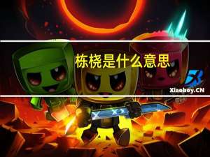 栋桡是什么意思