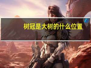 树冠是大树的什么位置