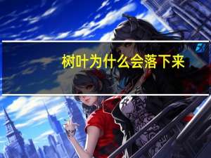 树叶为什么会落下来