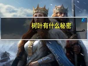 树叶有什么秘密