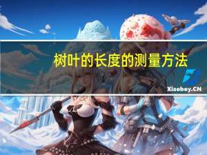 树叶的长度的测量方法