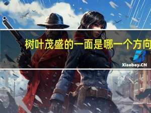 树叶茂盛的一面是哪一个方向