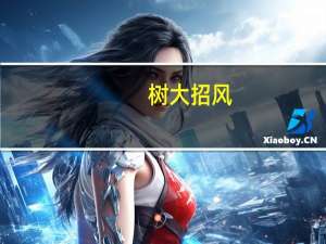 树大招风