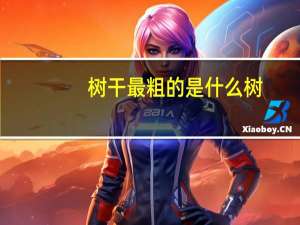 树干最粗的是什么树