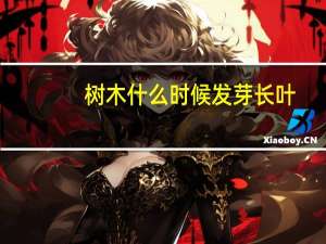 树木什么时候发芽长叶