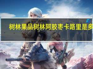 树林果品 树林 阿胶枣卡路里是多少