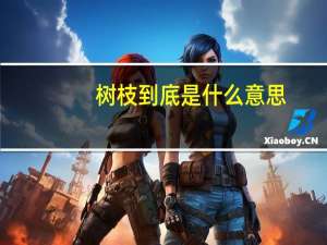 树枝到底是什么意思