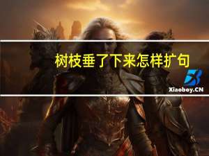 树枝垂了下来怎样扩句