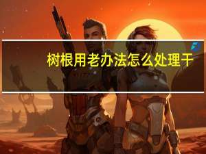 树根用老办法怎么处理干