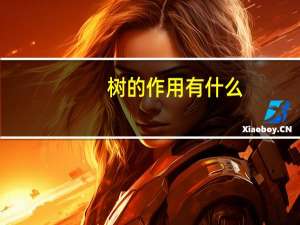 树的作用有什么