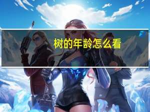 树的年龄怎么看