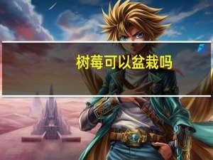 树莓可以盆栽吗