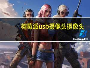 树莓派usb摄像头摄像头