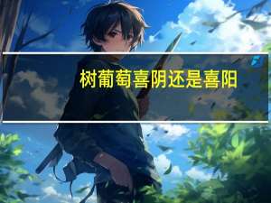 树葡萄喜阴还是喜阳