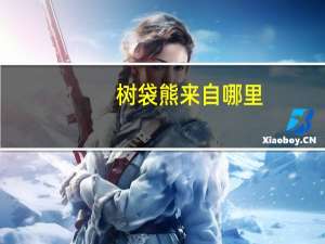树袋熊来自哪里