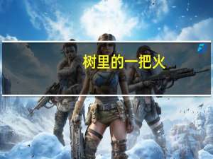 树里的一把火（火树歌词）