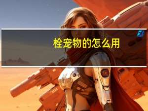 栓宠物的怎么用