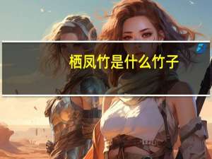 栖凤竹是什么竹子