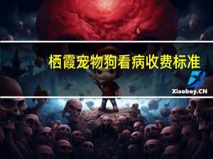 栖霞宠物狗看病收费标准