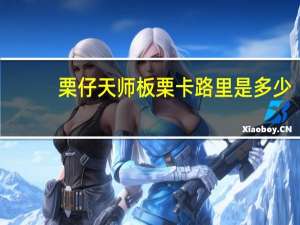 栗仔 天师板栗卡路里是多少