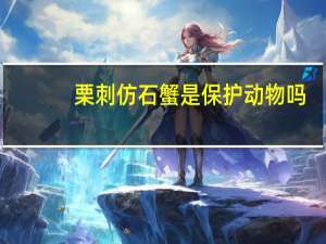 栗刺仿石蟹是保护动物吗