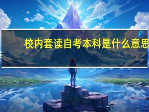 校内套读自考本科是什么意思