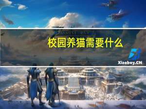 校园养猫需要什么