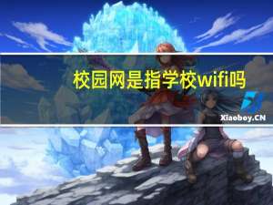 校园网是指学校wifi吗