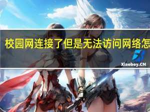 校园网连接了但是无法访问网络怎么办