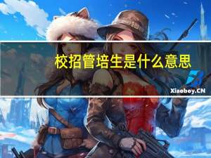校招管培生是什么意思