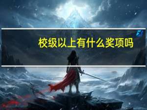 校级以上有什么奖项吗