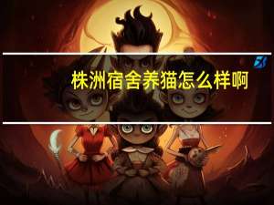 株洲宿舍养猫怎么样啊