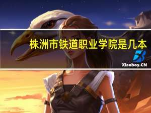 株洲市铁道职业学院是几本
