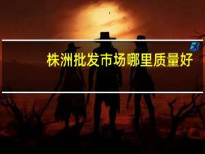 株洲批发市场哪里质量好