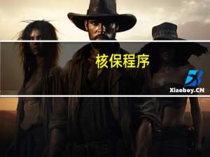 核保程序