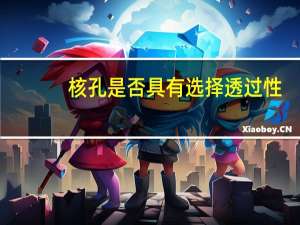核孔是否具有选择透过性（核孔）