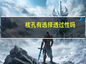 核孔有选择透过性吗