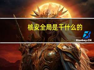 核安全局是干什么的（核安全局）