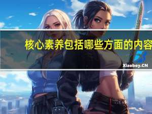 核心素养包括哪些方面的内容