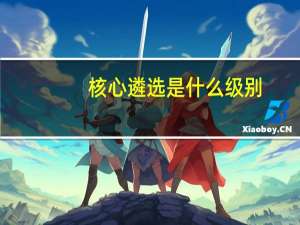 核心遴选是什么级别