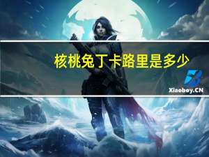 核桃兔丁卡路里是多少