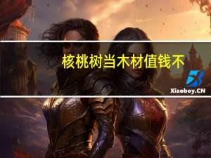 核桃树当木材值钱不