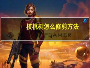 核桃树怎么修剪方法