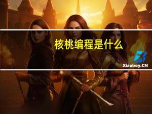 核桃编程是什么