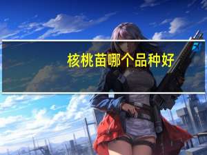 核桃苗哪个品种好