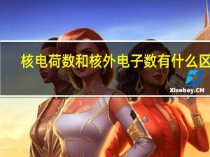 核电荷数和核外电子数有什么区别