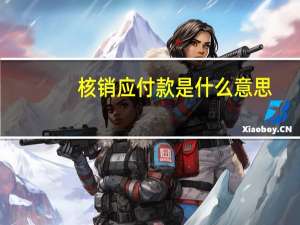 核销应付款是什么意思