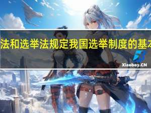 根据宪法和选举法规定我国选举制度的基本原则有什么