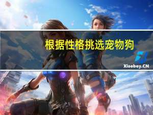 根据性格挑选宠物狗