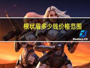 根状眉多少钱价格范围，雾眉价格800会太低吗